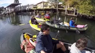 3 Sisters Spring - Crystal River, Florida - Swimming with Manatees
