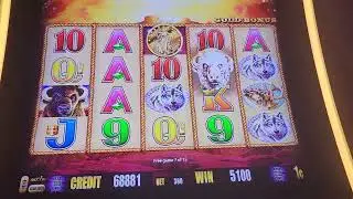4 coin bonus buffalo gold collection