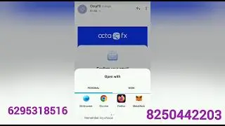 OCTA FX Copy Trading। SDFX GLOBAL। Octa Fx Account Opening । Call : 6295318516 । SDFX Global Bengali