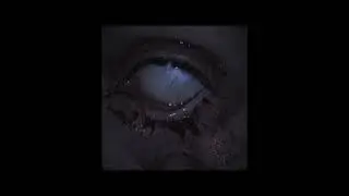VampireMoney (Slowed + Reverb)