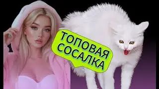 ГВГ 01.02.26 SQUAD VS TEIKOKU КАПЕЛЛА ❄️𝐏𝐄𝐑𝐅𝐄𝐂𝐓 𝐖𝐎𝐑𝐋𝐃 𝐑𝐔𝐎𝐅❄️ #perfectworld #perfect_world #пв #pw