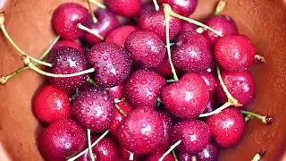 Dark Red Cherry Stock Video
