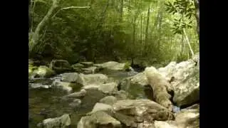 Spruce Flat Falls