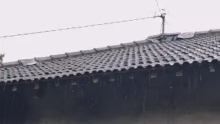 ASMR Rain Sounds on Rooftop 🌧️ Relaxing Rain for Deep Sleep, Study & Stress Relief