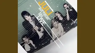 Warum (Live in Münster)