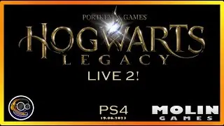 Live Hogwarts Legacy PS4 - Rumo aos 1000 inscritos! - MOLIN GAMES Live 2