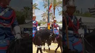FERIA DE JEREZ FERIA DEL CABALLO | Andalucia Spain Jerez | HORSE FAIR Horse Festival HORSE SHOW