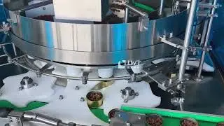 18-head Diced food filling machine for canned Turkish diced meat