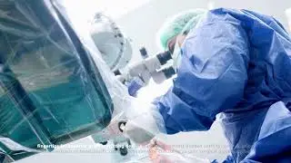 Unmatched Quality Surgical Gloves &ndash; Direct from China's Top Manufacturer