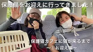 【保護猫カフェサロンCAT LIVING】保護猫カフェに猫をお迎えするまでのストーリー①