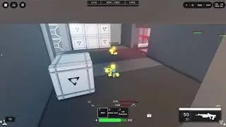 eular flawless