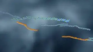 DNA Join and Fork circuit