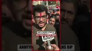 Aaditya Thackeray Slams BJP, Warns City Will Fall To Industrial Interests
