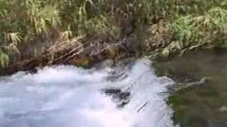 Tal Dan nature reserve in the Golan