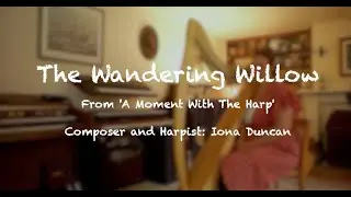 The Wandering Willow | A Moment With The Harp | Harpist Iona