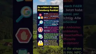Flensburg Punkte einsehen!