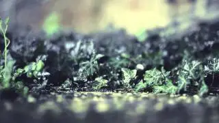 MONK ROMA teaser 1/4