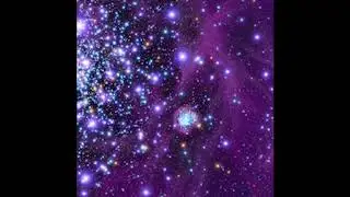 [FREE] BlocBoy JB x Key Glock x Q Money Type Beat - With the Stars (Prod Jvhsiya)