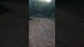ناس شحيمة