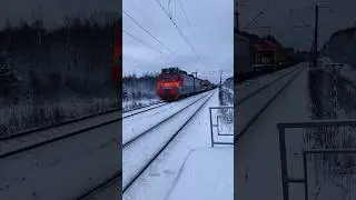 ВЛ11.8 - 612 с рельсовозом проследует о.п. Новогромово. #мжд #вл11 #железнаядорога #railway #yt