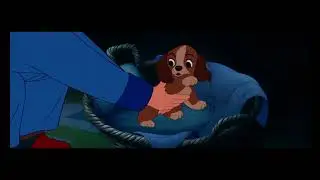 Lady and the Tramp (1955) - Beginning  [UHD]