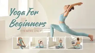 5-Minute Daily Stretch Routine: Full Body Flexibility & Stress Relief