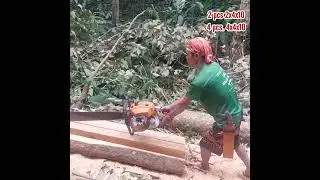 Paano Magslice ng Apat na 4X4X10 at Dalawang 2X4X10feet na Gemelina wood?