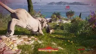Kill alpha animals lions