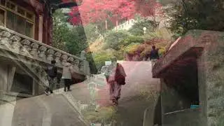 Fall in Korea - A visit to Danyang and Guinsa Temple