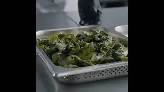 Steamed Perfection Made Easy with the iCombi Pro | RATIONAL