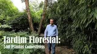 Jardim Florestal  - 500 Plantas Comest&iacute;veis