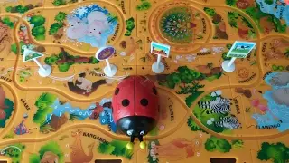 Играем с Pumo Spielset Божья коровка