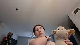 Essa round up (emotional support stuffed animal