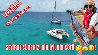 155- VENEZUELA ıssız ada LA Blanquilla, seyirde bir iyi bir k&ouml;t&uuml; s&uuml;rpriz! etkileyici su altı