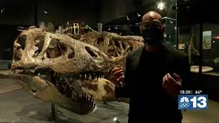 Dinosaurs, prehistoric Montana Moments at Museum of the Rockies