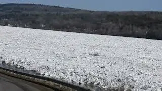 Simonnds ,NB Spring Ice Jam 2025