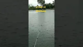 ujan ujan  di empang