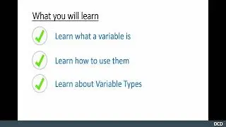 Section Overview | Python Programming Course for Beginners