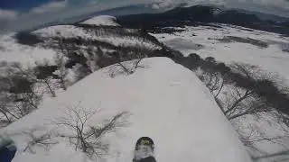 ARRIBA Jeremy Hatcher a trav&eacute;s del bosque de los japon&eacute;s del Volc&aacute;n Villarrica