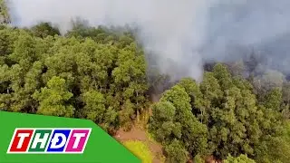 Tây Ninh: Cháy rừng tràm do đốt lửa lấy mật ong | THDT