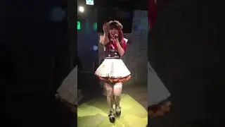 いぬねこ青春真っ盛り