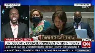 U.N. Security Council discusses crisis in Tigray