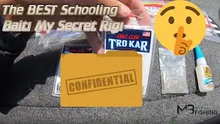 The BEST Schooling bait! My Secret Rig