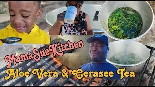 Aloe Vera & Cerasee Tea | Jamaican Yard Style | MamaSueKitchen