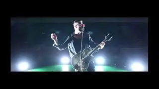 Fly the Nest - ANIMAL  (Official Music Video)