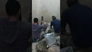 Salted Beef Omasum Carton Packing March 2022