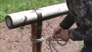 How to tie up a horse