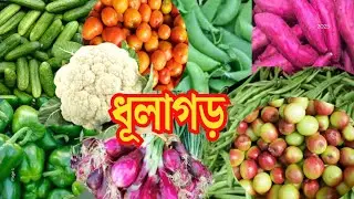 ধুলাগড় পাইকারি বাজারে সবজির দাম | Dhulagarh Vegetable Market | Dhulagarh Sabji Mandi | Vegetable |