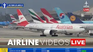 🔴LIVE Los Angeles (LAX) Airport Plane Spotting (September 1st, 2024)