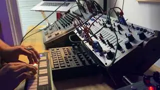 Elabor - Prayers for Rain 1 - Buchla Easel Command + Effect Pedals
